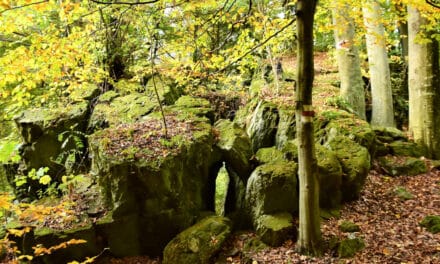 „Buck­li­ge Zeit­rei­sen“ als „Lost Places“-Erweiterung