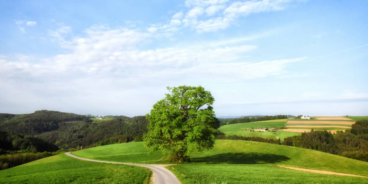 Eine Region voller Lieblingsplätze