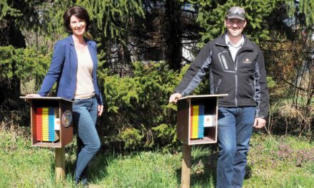 Vom Win­ter­schlaf zur Blumenwiese
