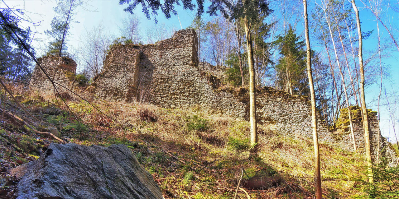 Burg Stu­ben­berg: Gespreng­te Mau­ern, tief im Wald
