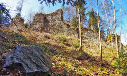 Burg Stu­ben­berg: Gespreng­te Mau­ern, tief im Wald