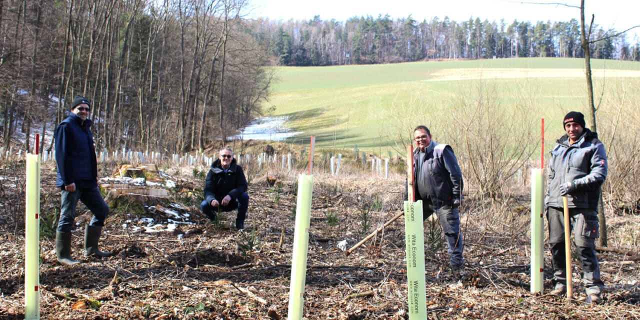 Akti­on Lebens­baum in Bad Schönau