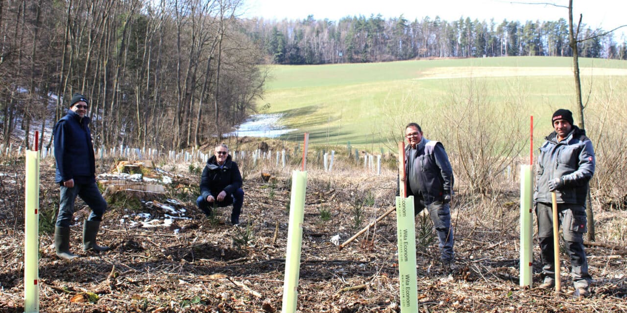 Aktion Lebensbaum in Bad Schönau