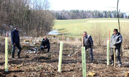 Akti­on Lebens­baum in Bad Schönau