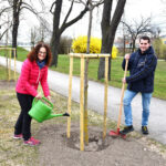 Mehr grün für die Garten­stadt Ternitz