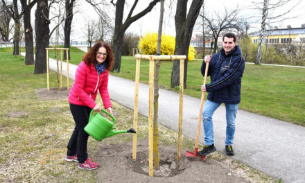 Mehr grün für die Gar­ten­stadt Ternitz