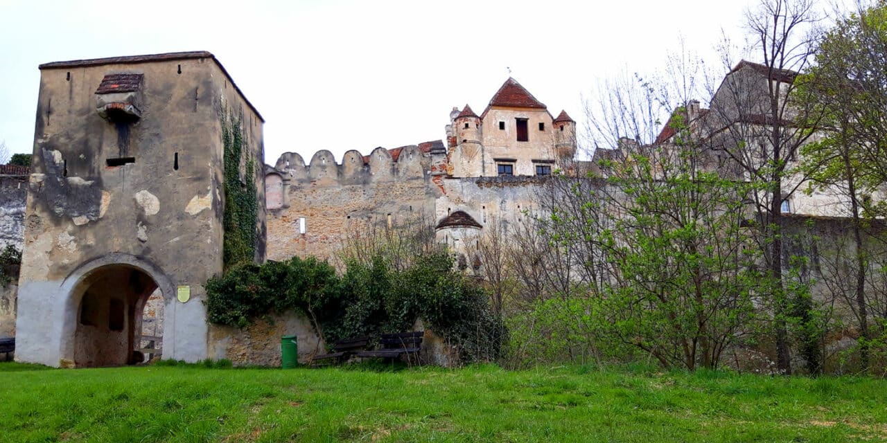 Ausflugstipp: Naturpark Seebenstein