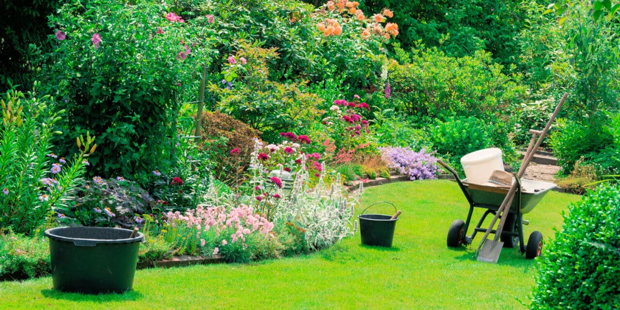 Naschen und genießen im Garten