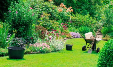 Naschen und genie­ßen im Garten