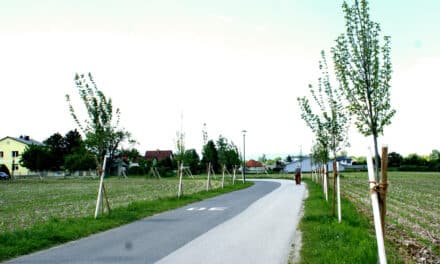 Neue Kli­ma­schutz­maß­nah­men in den Thermengemeinden