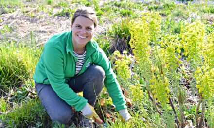 „Natur im Gar­ten“ als Arbeitsplatz
