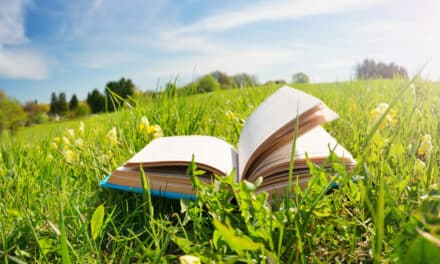 Schwer­punkt: Buchsommer