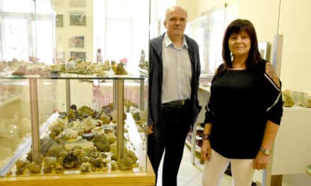 Son­der­aus­stel­lung „Gefecht von Kirchschlag“