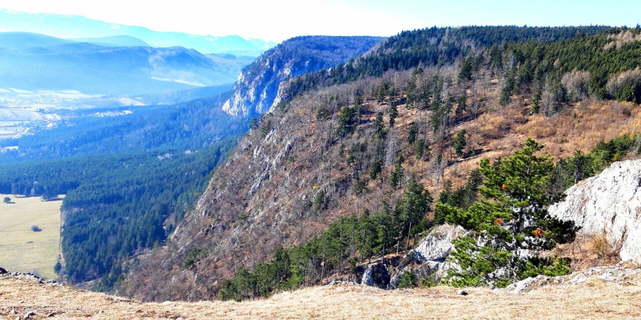 Aus­flugs­tipp: Hohe Wand