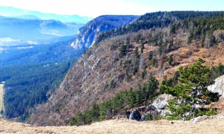Excur­si­on Tip: Hohe Wand