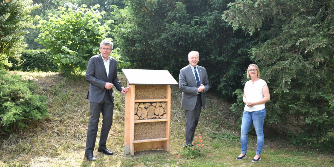 Neue Herberge für allerlei Nützlinge