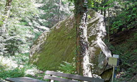 Excur­si­on Tip: „Gro­ßer Stein“ Edlitz