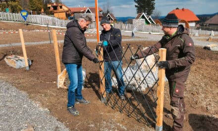 Im Kampf gegen das Bienensterben