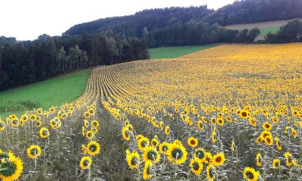 Eine Regi­on vol­ler Lieblingsplätze