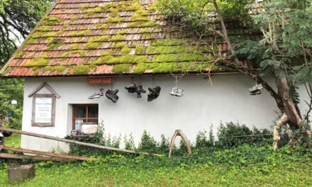Aus­flugs­tipp – Stein­kreis Krumbach