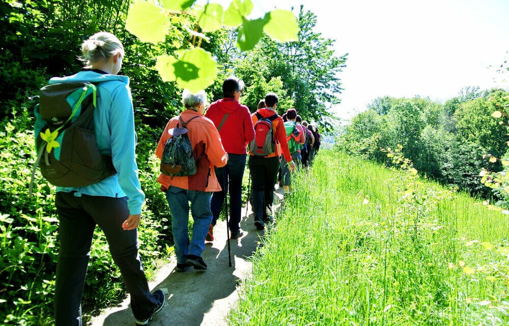 1. Frau­en­pil­ger­tag in der Buck­li­gen Welt