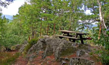 Aus­flugs­tipp –War­ten­stein Rundwanderweg