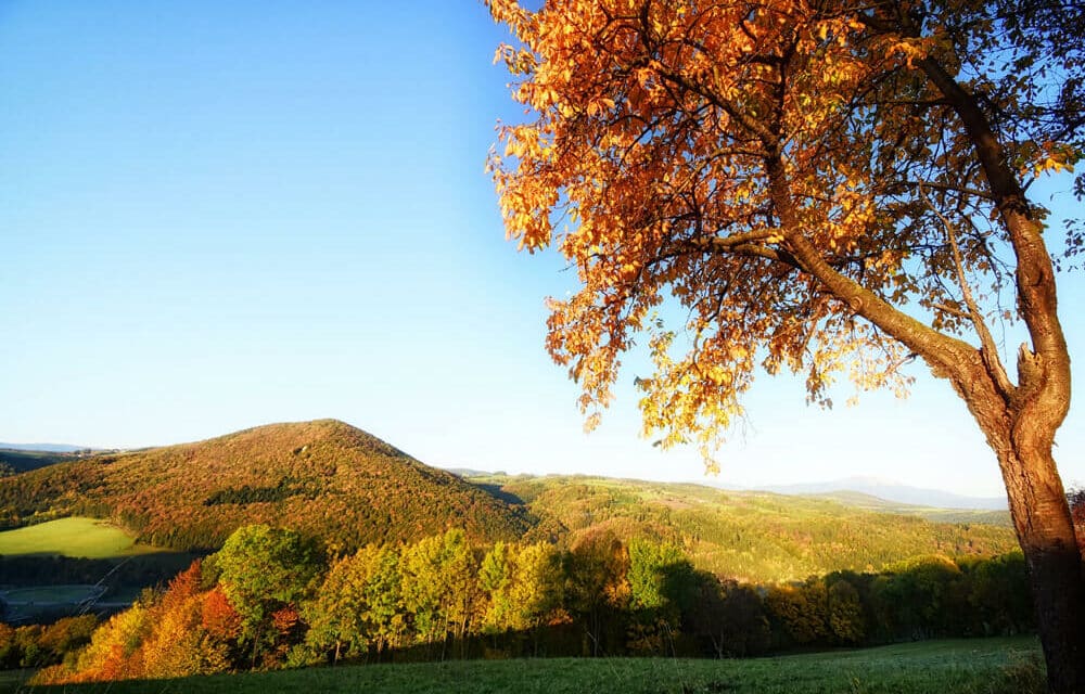 Eine Region voller Lieblingsplätze