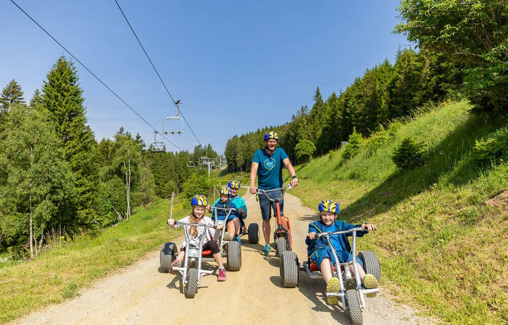 Erlebnisalm Mönichkirchen: wandern, Mountaincart fahren und schaukeln