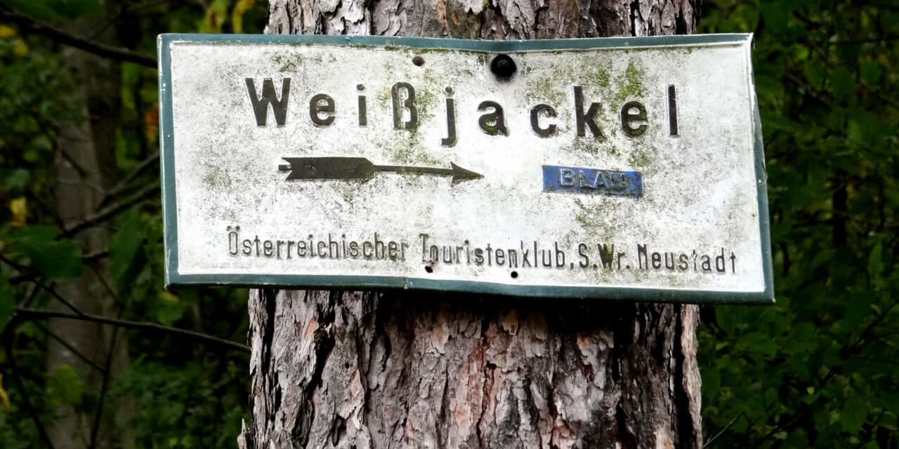 Excursion Tip – Weißjackel in Schiltern