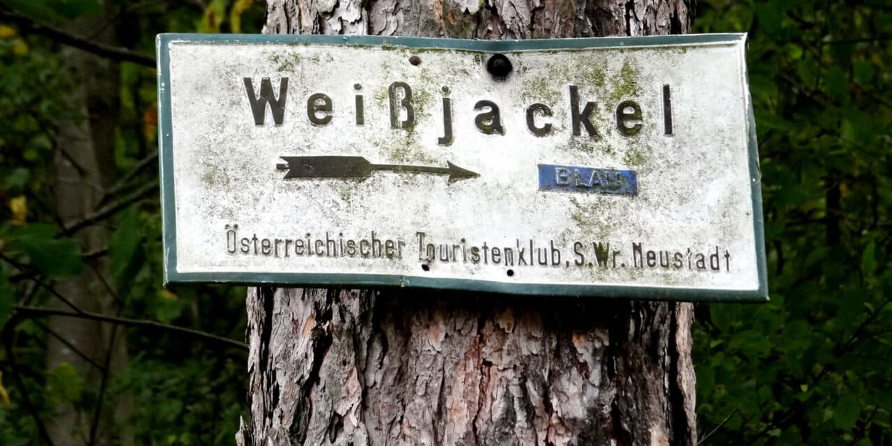 Ausflugstipp – Weißjackel in Schiltern