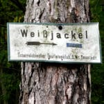 Aus­flugstipp — Weiß­jack­el in Schiltern