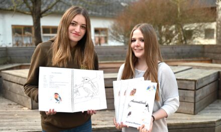 Junior­fir­ma: Mal­buch über hei­mi­sche Vögel