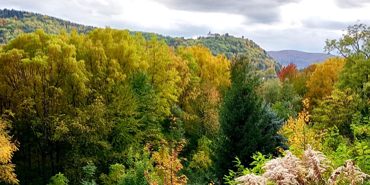 Ausflugstipp – Rundwanderweg Bad Erlach Waldfriedhof