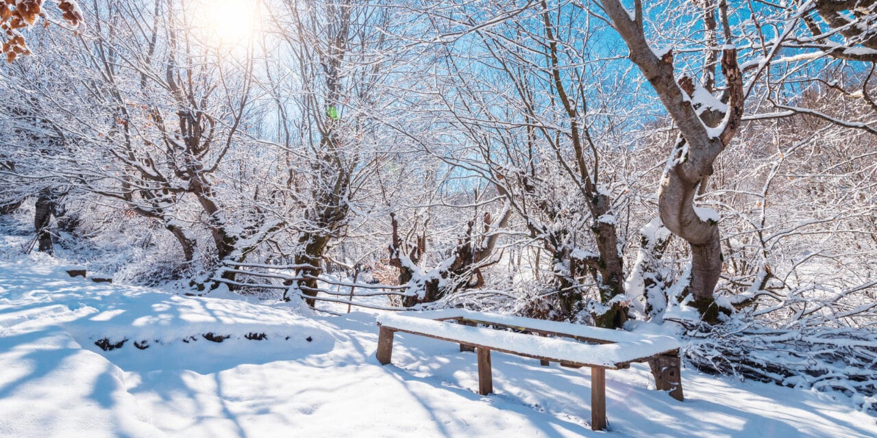 Winterzeit ist Planungszeit