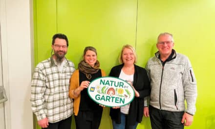 Wis­sens­wer­tes zu Naturblumenwiesen