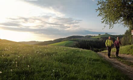 Ein Wort zur LEADER-Region
