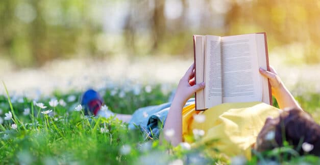 Hoch­som­mer im Garten