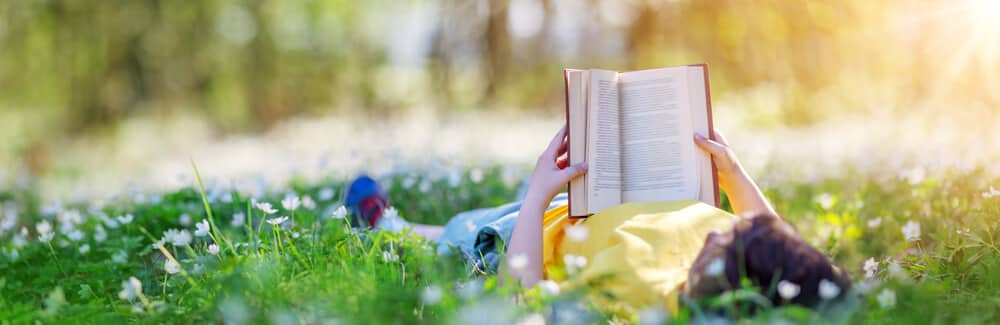 Hoch­som­mer im Garten