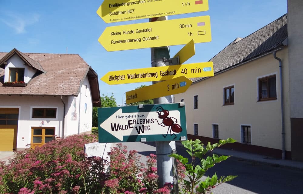 Forest Expe­ri­ence Path Gschaidt