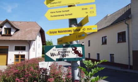 Am Wald­er­leb­nis­weg in Gschaidt