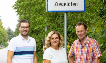 Glas­fa­ser für Ziegelofen