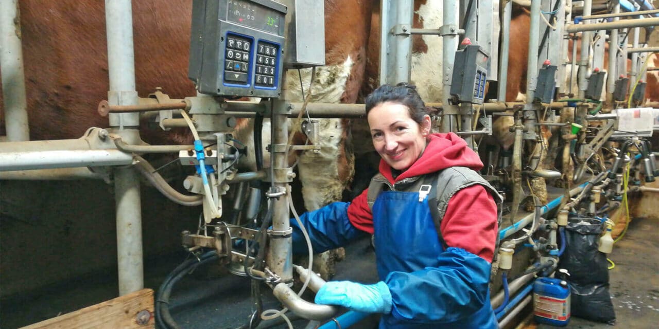 Ein klei­ner Licht­blick für die Landwirtschaft