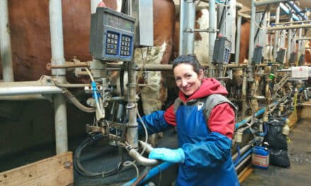 Ein klei­ner Licht­blick für die Landwirtschaft