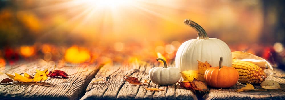 Gol­de­ner Herbst­zau­ber im Garten