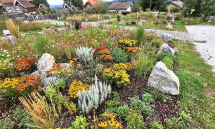 Lan­des­sie­ger beim Blumenschmuck