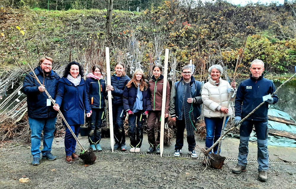 Neu­es Leben für alte Obstsorten