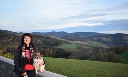 Von Hoch­neu­kir­chen bis zum Horizont