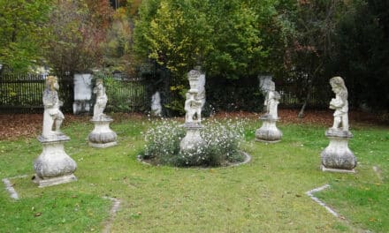 Auf den Spu­ren von Franz von Assisi
