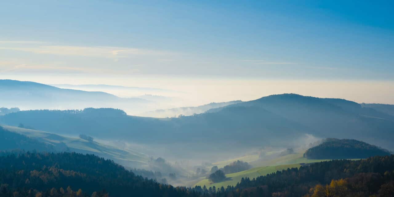 „Morgenstimmung“ holt Platz 1