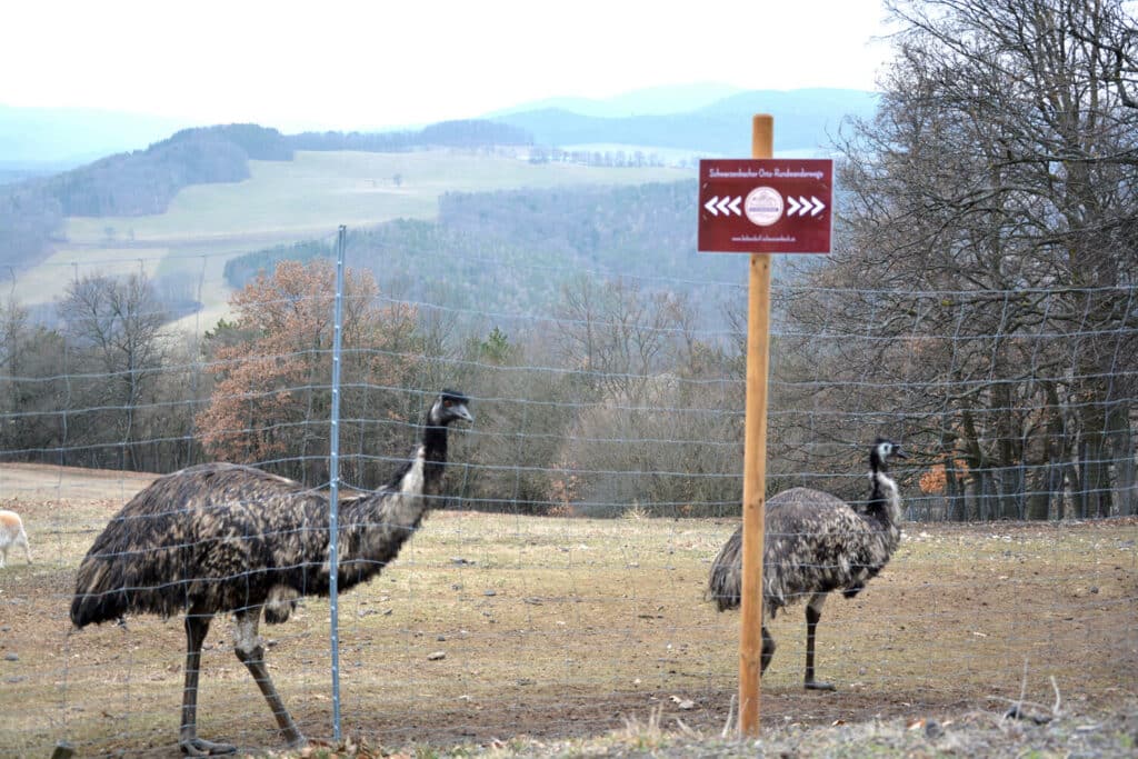 keltenpark